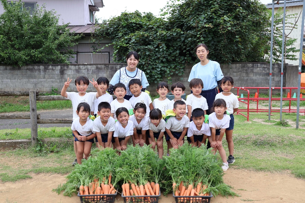 小山農園のニンジンを収穫しました