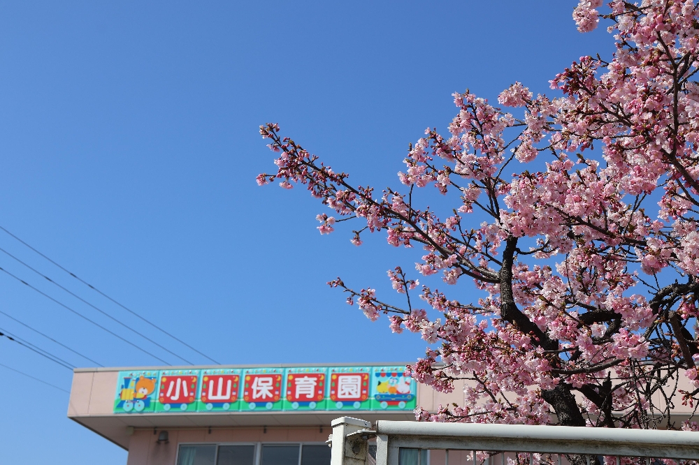 子育て支援センター「さくらの森」より、春の訪れをお知らせします♪