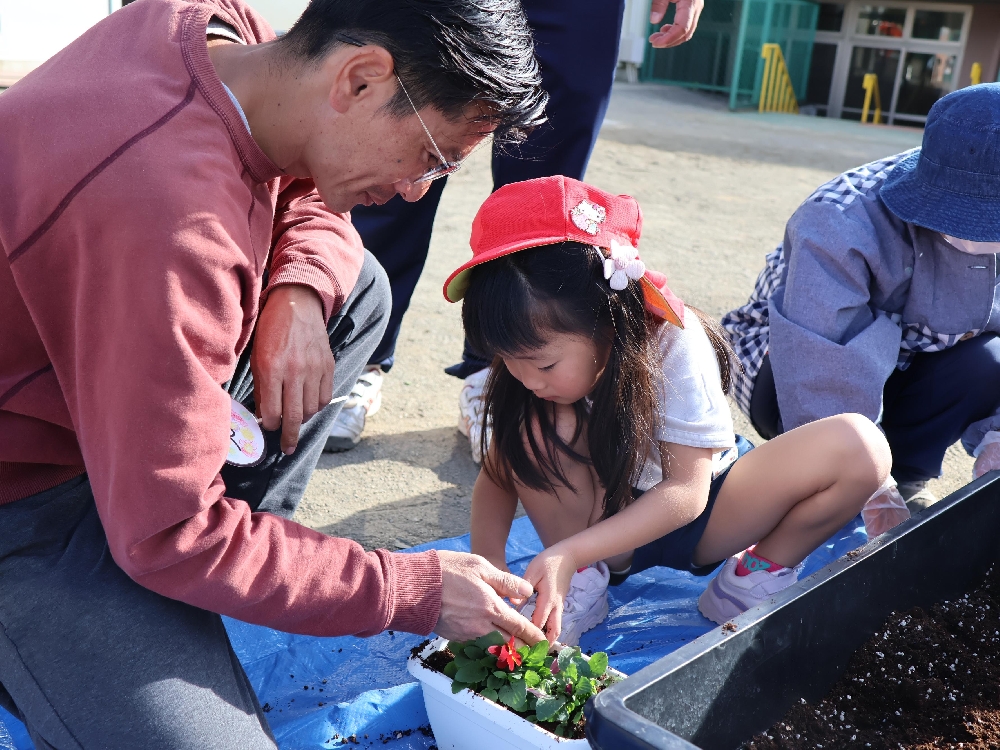 １１月６日　花の鉢植え（花育活動）を行いました