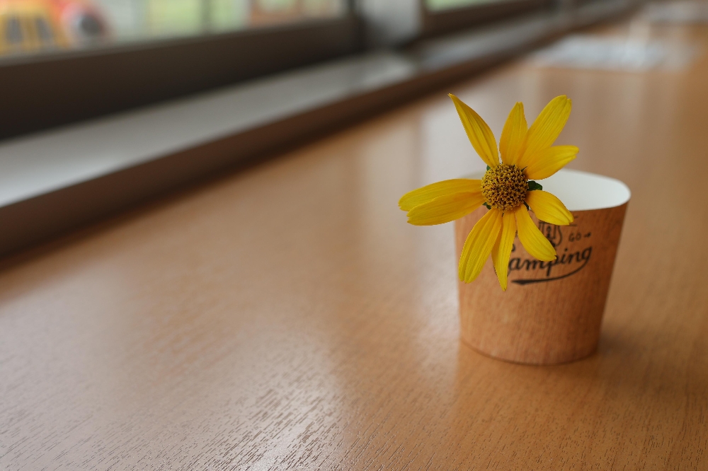子育て支援センター「さくらの森」ある日のヒトこま。